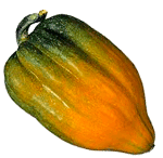 squash