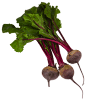 beets