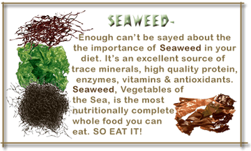 seaweed